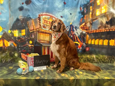 Brown dog named Murphy wearing a patterned bandana, sitting in front of a carnival backdrop with a ticket booth, Ferris wheel, and popcorn at The Pampered Pooch.