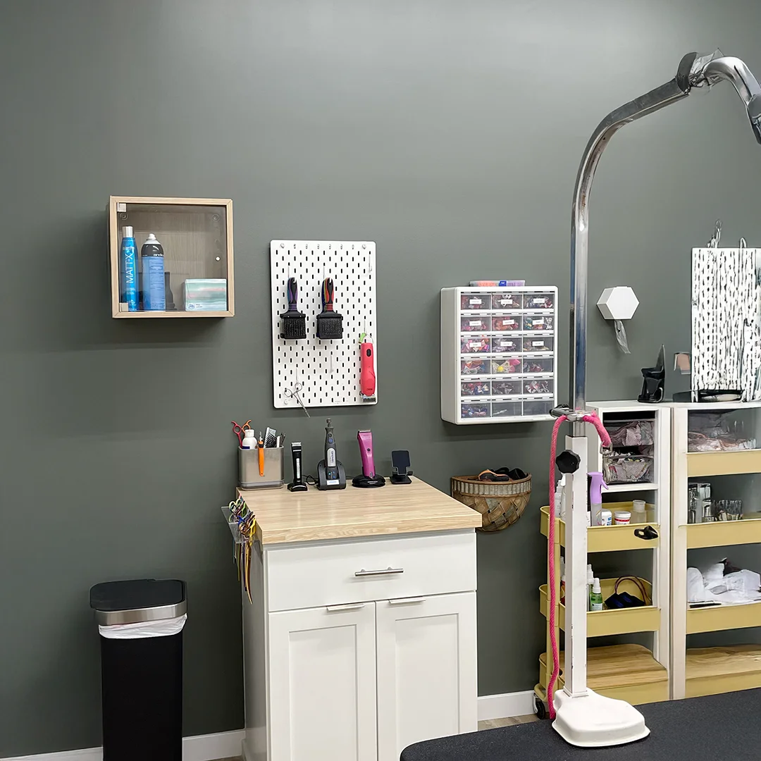 Organized grooming station at The Pampered Pooch with brushes on a pegboard, clippers on a countertop, and grooming supplies stored neatly on shelves and in bins.