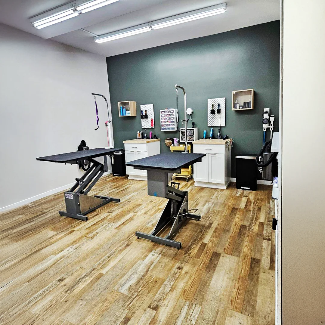 Grooming room at The Pampered Pooch with adjustable grooming tables, organized tools, and supplies neatly displayed against a green accent wall.