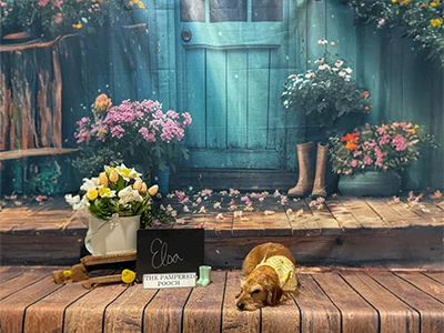 Brown dog named Elsa wearing a yellow bandana, lying on a wooden floor in front of a blue door with flowers and spring decorations at The Pampered Pooch.