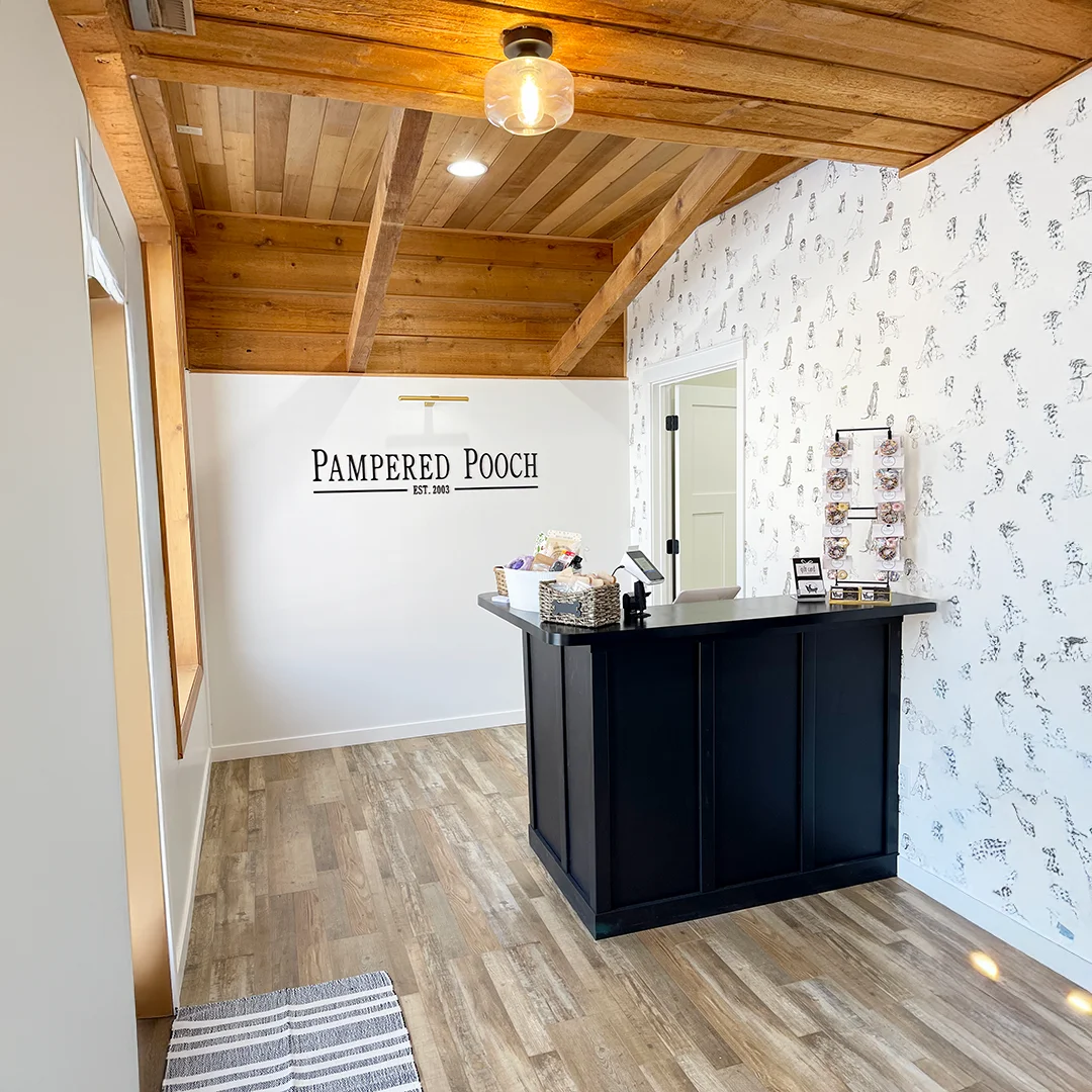 Reception desk at The Pampered Pooch with the business name and established date on the wall, wooden ceiling beams, and dog-patterned wallpaper creating a warm welcome space.